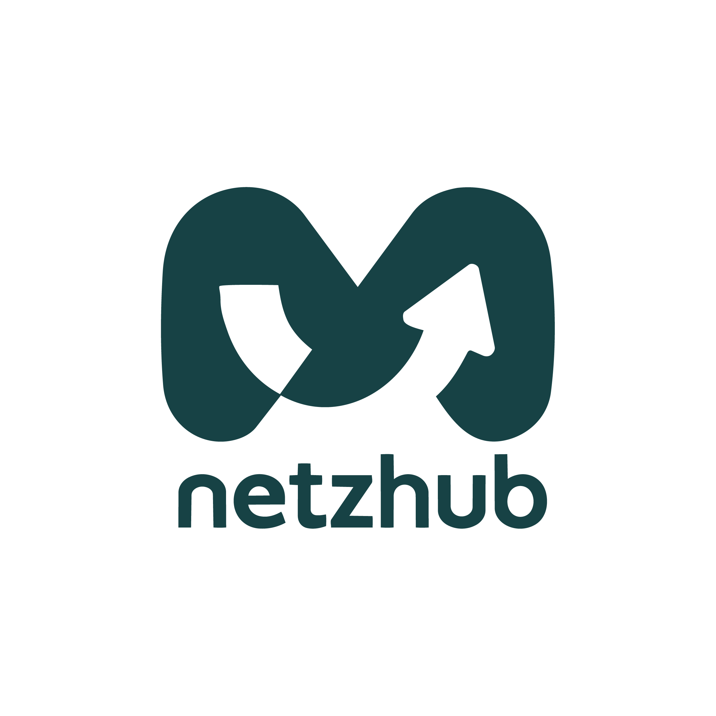NETZ HUB